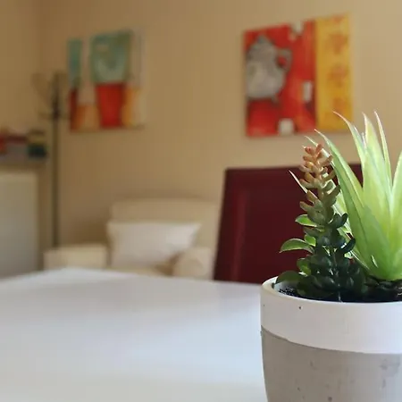 Apartment Alloggio In Prima Collina Biellese
